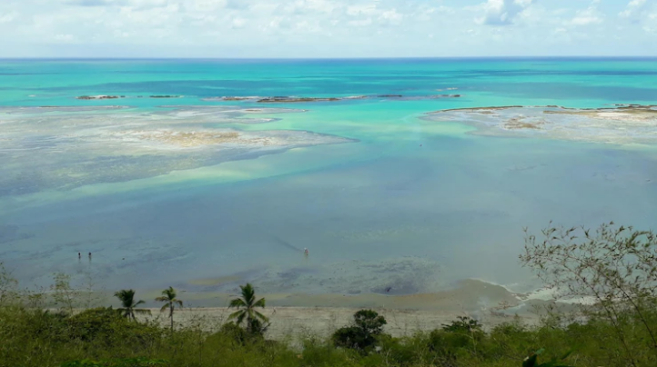 Praias Mais Belas Do Brasil