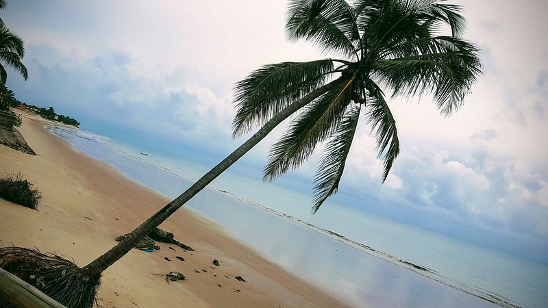 Praias Mais Belas Do Brasil