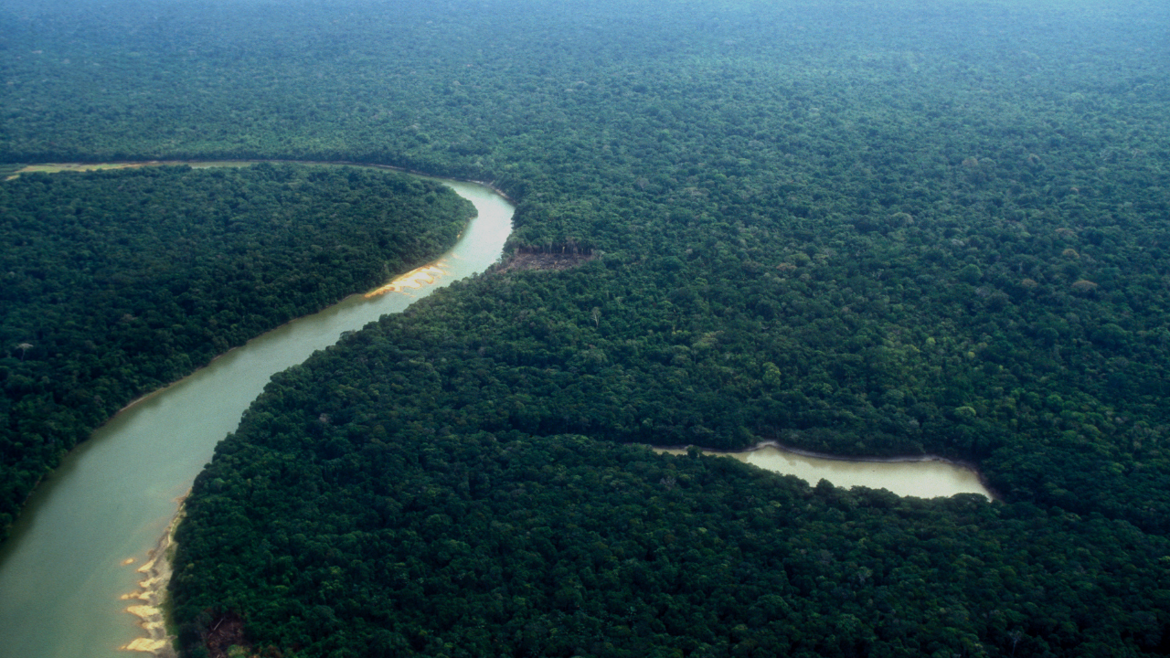 A Amazônia produz mais de 20% do oxigênio do planeta