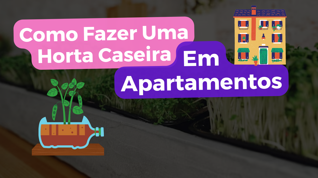 Horta Caseira Em Apartamentos