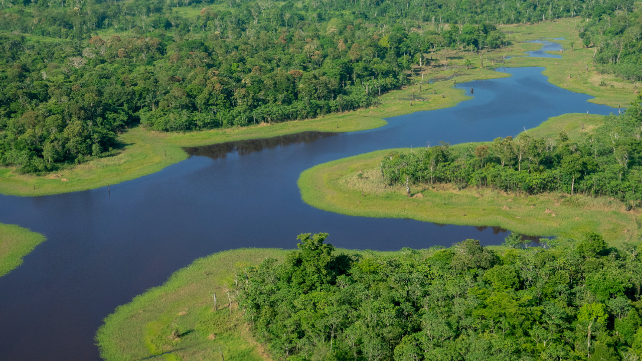 O pantanal brasileiro - A Amazônia