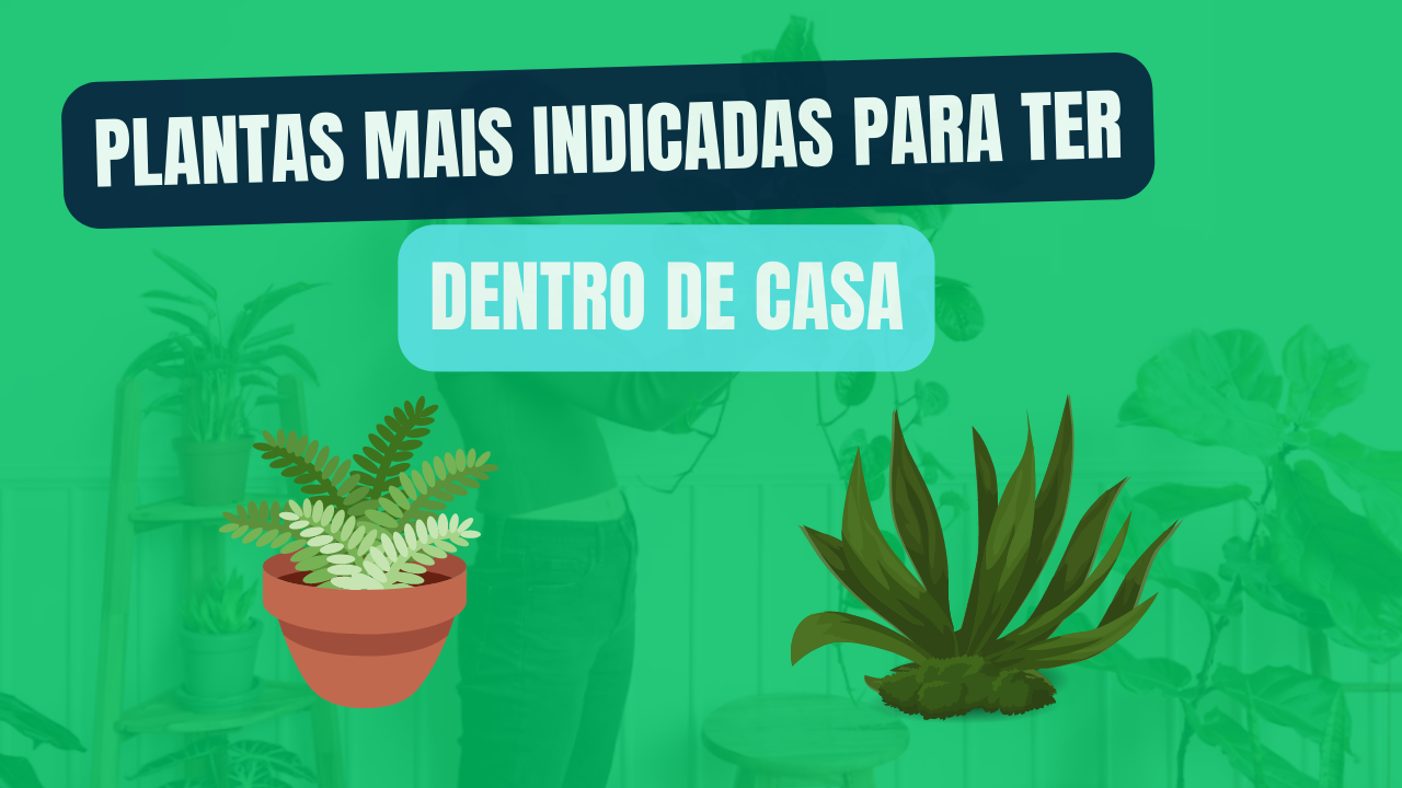 As Plantas