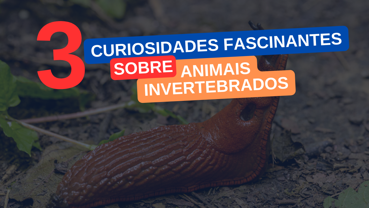 3 Curiosidades Fascinantes sobre Animais Invertebrados