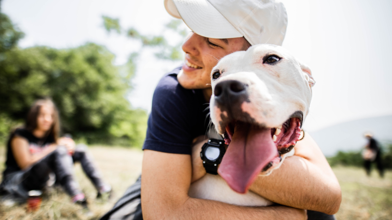 Por que o Cachorro é o Melhor Amigo do Homem