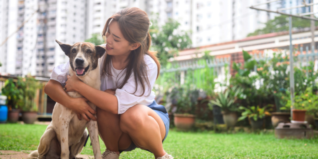 8 Passos para Cuidar de um Cachorro e Ter um Relacionamento Feliz