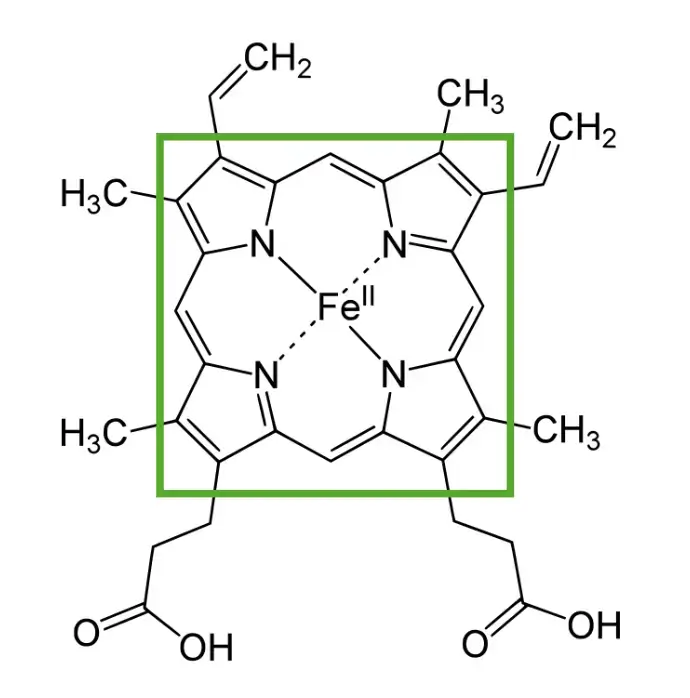 Structure of heme 1 1 1