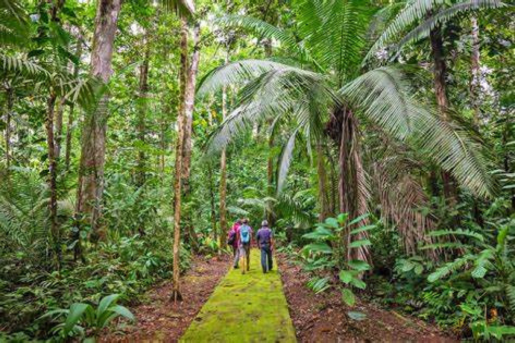 Parques Nacionais Brasileiros: Top 5 Destinos Imperdíveis