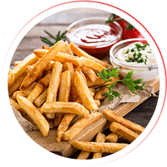 mod burguer 01