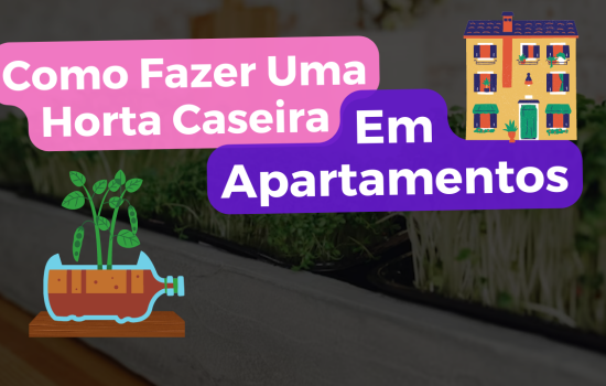 Horta Caseira Em Apartamentos