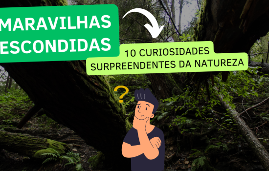 Maravilhas Escondidas: 10 Curiosidades Surpreendentes da Natureza