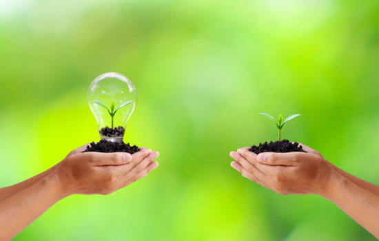 A Educação Ambiental: Promovendo a Sustentabilidade para um Futuro Melhor