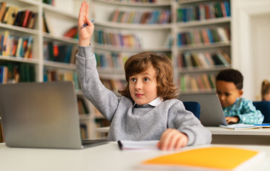 Alfabetização Digital: A Base da Era da Informação - 5 Dicas