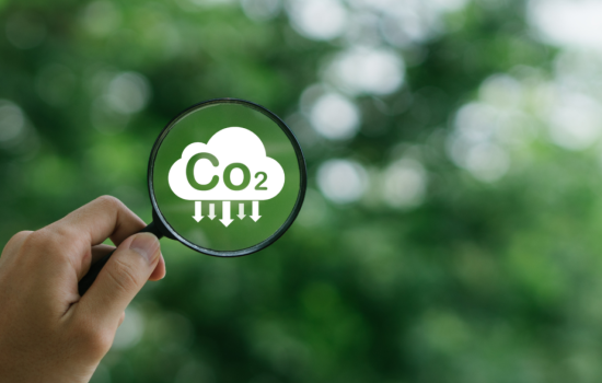 Mudanças Climáticas: 7 Passos para Proteger o Planeta